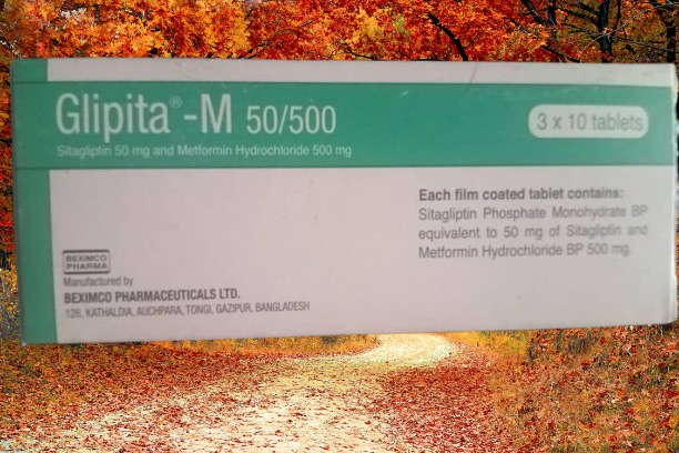 GLIPITA – M 50MG/500 MG