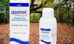 result_STG-10-scaled-removebg-preview (1)